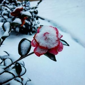 Meet your Posher, Luke